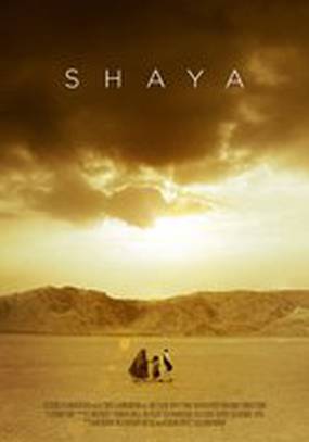 Shaya