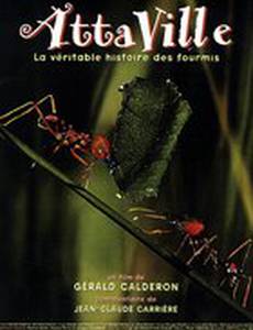 Attaville, la véritable histoire des fourmis