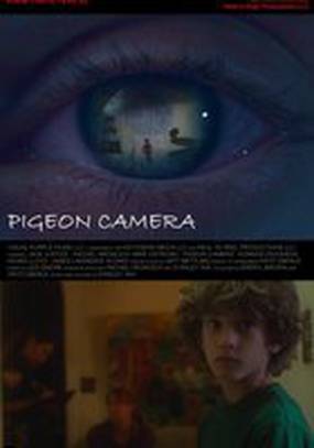 Pigeon Camera