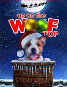 Up on the Wooftop