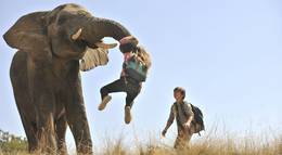 Кадр из фильма "Against the Wild 2: Survive the Serengeti" - 1