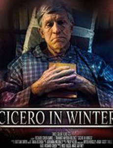 Cicero in Winter