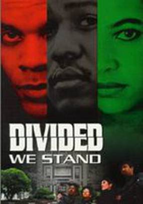 Divided We Stand