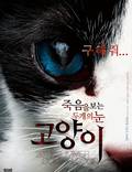 Постер из фильма "Кот: Глаза, которые видят смерть" - 1