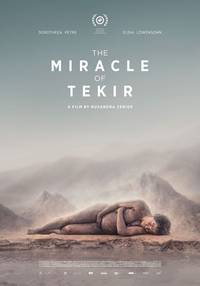 Постер The Miracle of Tekir