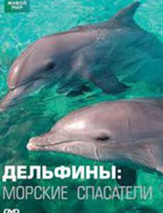 Дельфины: Морские спасатели