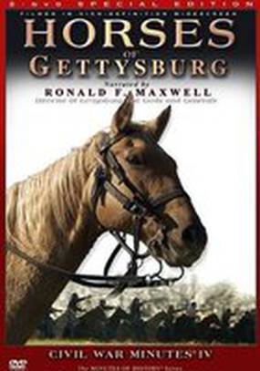 Horses of Gettysburg (видео)