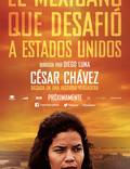 Постер из фильма "Чавес" - 1
