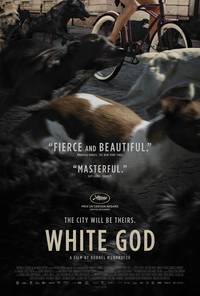 Постер Белый бог