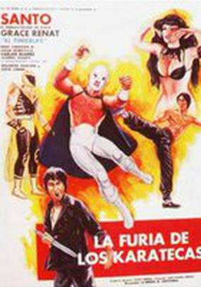 La furia de los karatecas