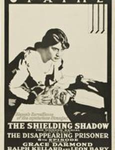 The Shielding Shadow