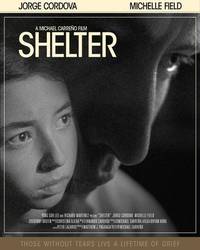 Постер Shelter