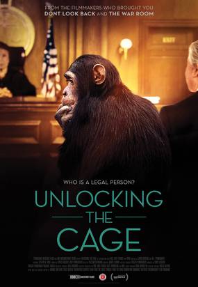 Unlocking the Cage