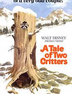 A Tale of Two Critters