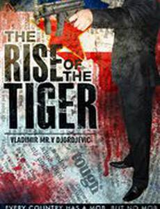 The Rise of the Tiger