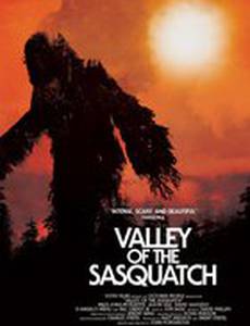 Valley of the Sasquatch