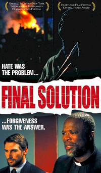 Постер Final Solution