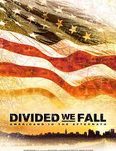 Divided We Fall: Americans in the Aftermath