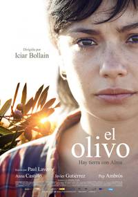 Постер El olivo