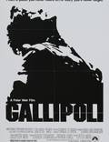 Постер из фильма "Галлиполи" - 1