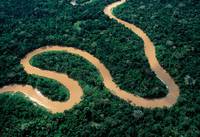 Кадр Амазония: Инструкция по выживанию 3D