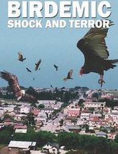 Птицекалипсис: Шок и Трепет