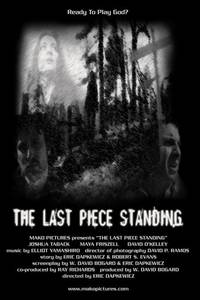 Постер The Last Piece Standing