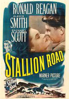 Stallion Road