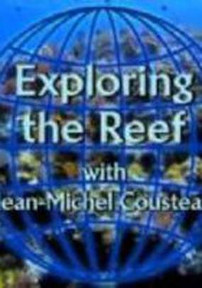 Изучение рифов (видео)
