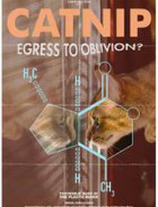 Catnip: Egress to Oblivion?