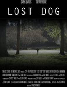 Lost Dog