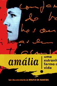 Постер Амалия – такая вот странная жизнь (видео)
