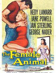 The Female Animal