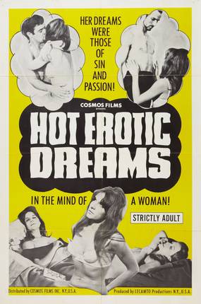 Hot Erotic Dreams