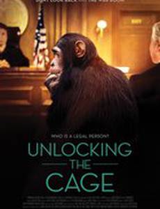 Unlocking the Cage