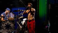 Кадр Red Hot Chili Peppers: Live at Slane Castle (видео)