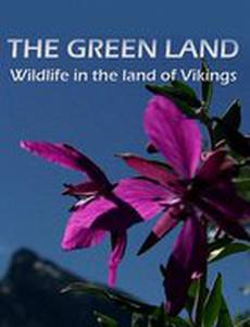 Гренландия: Дикая природа страны викингов