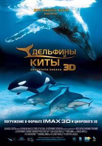 Постер Дельфины и киты 3D