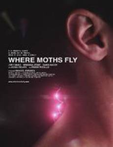 Where Moths Fly
