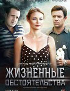 Жизненные обстоятельства (мини-сериал)