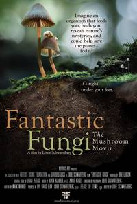Постер Фантастические грибы