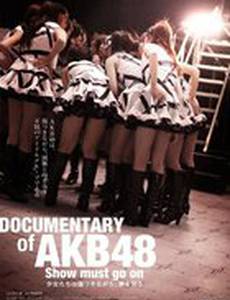 Documentary of AKB48: Show Must Go On