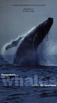Постер Rencontres avec les baleines du Saint-Laurent