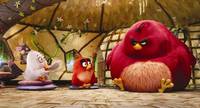 Кадр Angry Birds в кино