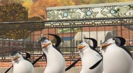 Кадр из фильма "Пингвины из Мадагаскара" - 2