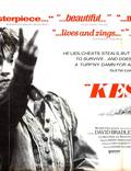 Постер из фильма "Кес" - 1
