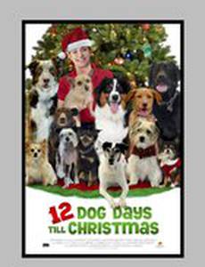 12 Dog Days of Christmas