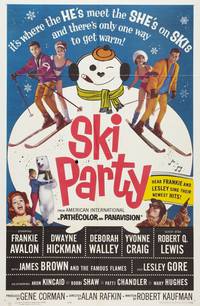 Постер Ski Party