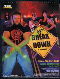 Постер WWF Развал