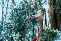 Кадр Шина – королева джунглей